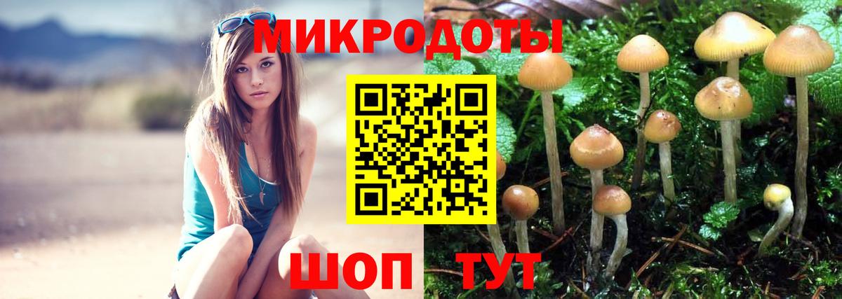 Кинель  Галлюциногенные грибы Psilocybe  Вход с VPN 