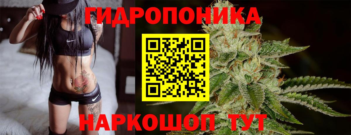 Шишки марихуана гибрид  Канабис Amnesia  Вход с VPN  Кинель  Канабис OG Kush 